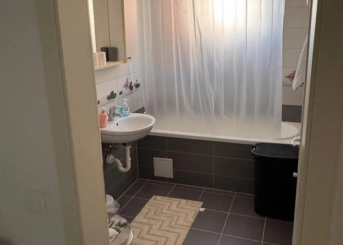 Twenty-seven Comfort براشوف